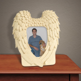 Guardian Wings Frame